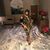 Carleneta Spearman Harris's profile image