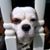 Quen Key West's profile image