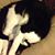 Yishai Drehbank's profile image