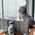 Arwen M Flynn's profile image