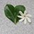 Jeri Velasco's profile image