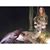 Tay Lyn's profile image