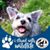 Beth Stauber's profile image