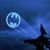 Kaitlynn Panda Anderson's profile image