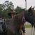 Mark E. Fies's profile image