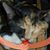 Kellie Brown's profile image