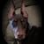 Jay DeHart's profile image