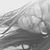 Suzy Cassidy's profile image