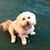 Jeannette Whitten's profile image