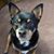 Karen Garrett-Royer's profile image