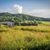 Tami Bragg's profile image