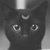 Elissa Lehnhardt's profile image