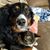 Elly Salerno's profile image