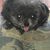 Jerry G Dawson's profile image