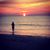 Sarah Frances's profile image