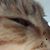 Mary Blackshire's profile image