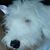Barbara Lemke La Rue's profile image