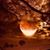 Meraj Chy's profile image