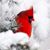 Pat Hinkle-Pellom's profile image