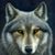 Angela Brewer's profile image