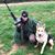 Scott Chinn's profile image