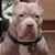 Erin Rush's profile image