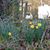 Nancy Hay Bogert's profile image