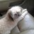 Donna Whitaker Sullivan's profile image