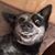 Sid Berg's profile image