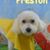 Debra Harrison's profile image