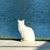 Catherine Anderson Justmann's profile image