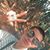 Peter Alexander's profile image