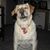 Tanya Rastorfer Neitzel's profile image