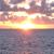 Beverly Schnarrs's profile image