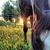 Jackie Zimmer Kincaid's profile image