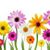 Judy Banks's profile image