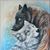 Darlene Wolfe's profile image
