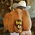 James D. Nicholson's profile image
