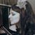 Kim Schend's profile image