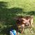 Melanie A. Marvin's profile image