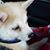 Kevin J. Mitzel's profile image