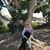 Carolyn Schoemer Huyghe's profile image