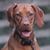 Jeanna Brown's profile image