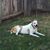 Robert J. Elwell's profile image