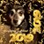 Karen Miller Gannon's profile image