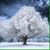 Terrie Baker's profile image