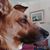 Tina Lintner's profile image