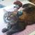 Tia Hockenberry's profile image