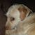 Sarah Sweigart's profile image