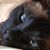 Justyna Harrington's profile image